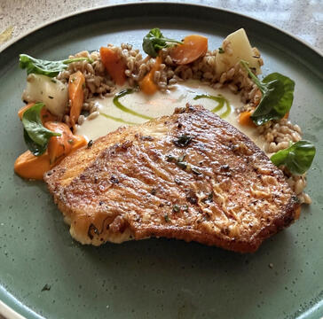Snapper with Carrot Puree, Primo at the Grande Lakes Resort Snapper with Carrot Puree, Primo at the Grande Lakes Resort